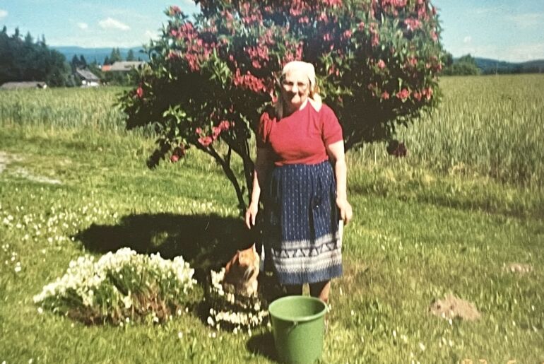 Regina Maria Siedler aus Schiefling beim Ernten der Kamillen